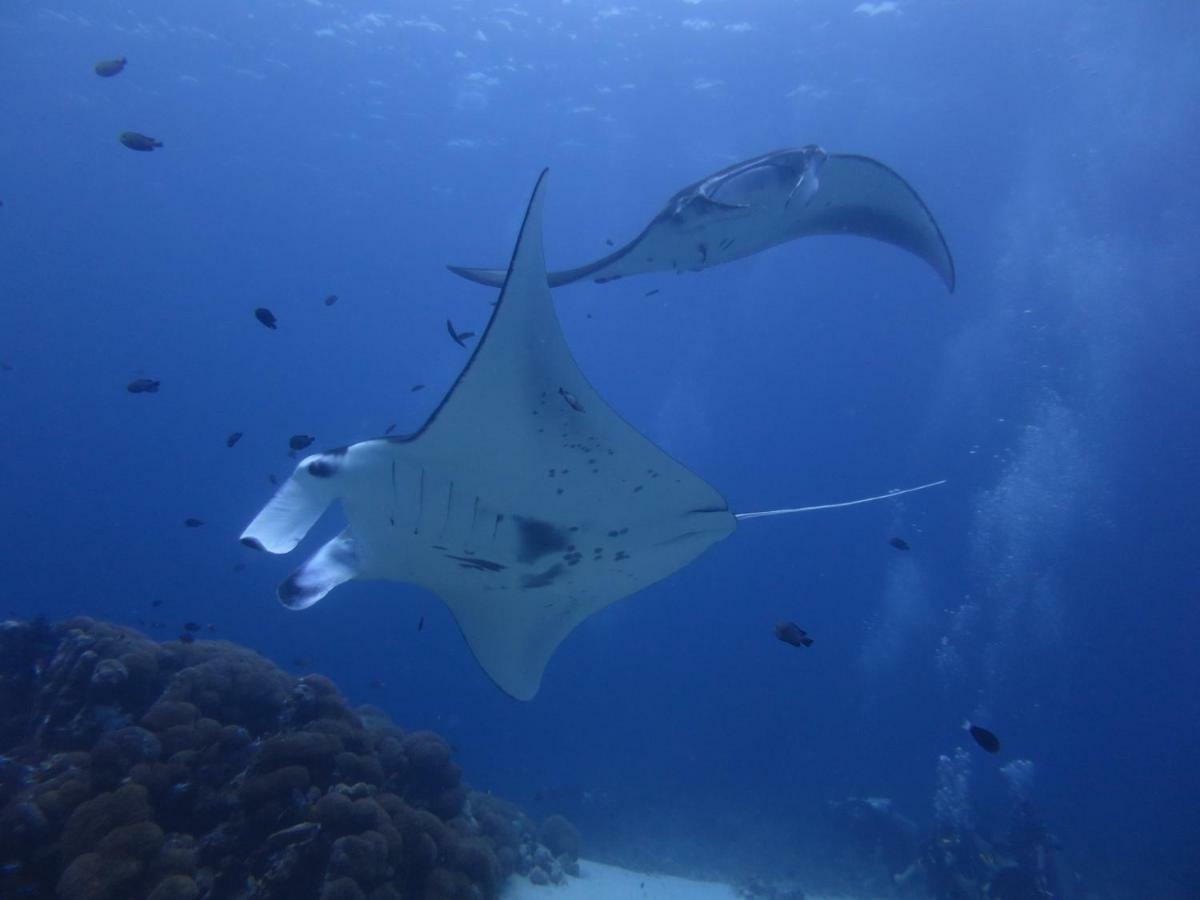 ホテル ケイリクス グランド フヴァンムラ Fuvahmulah エクステリア 写真